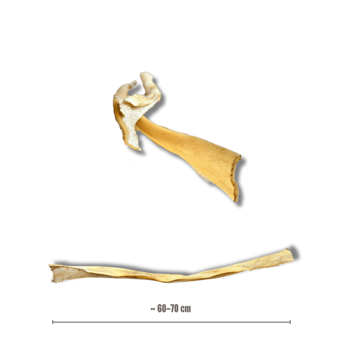 Büffelhaut Stange (XL) – Produktansicht 2 – Bones & Bites