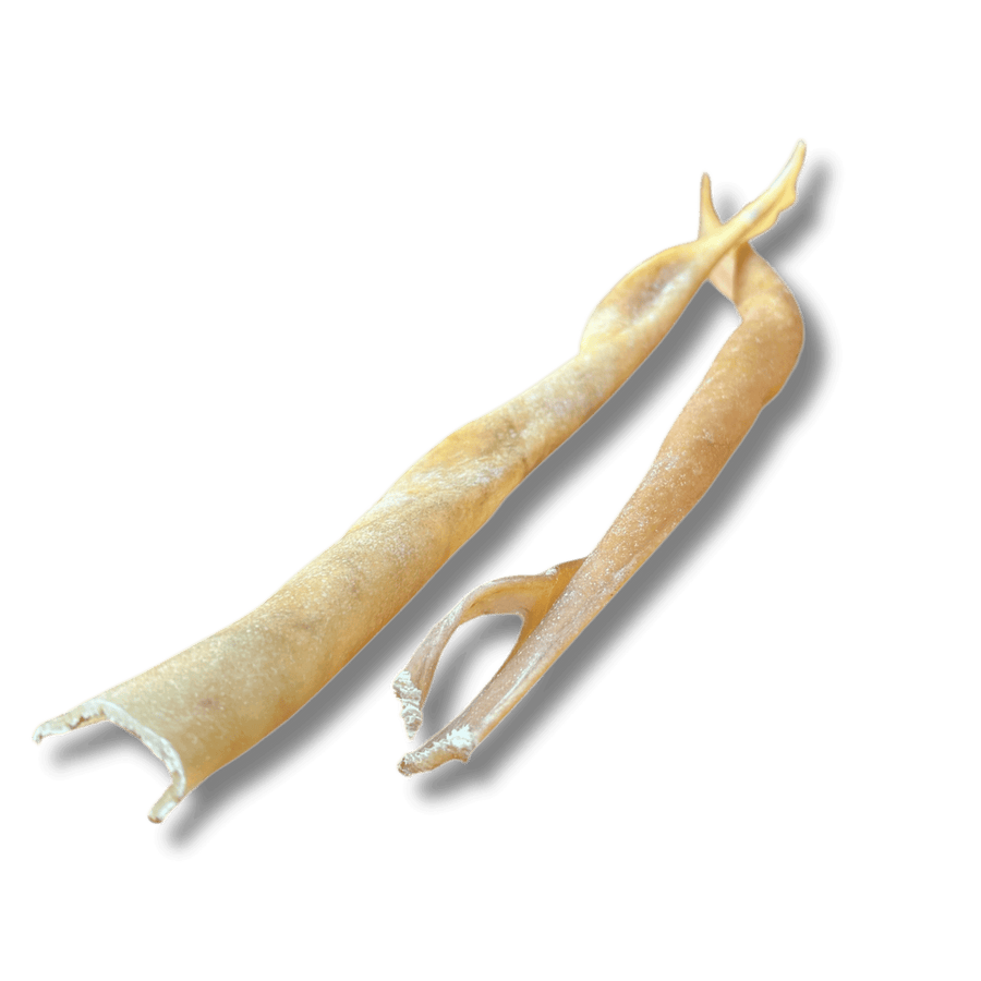 Büffelhaut Stange (XL) aus 100 % getrocknete Büffelhaut – Bones & Bites