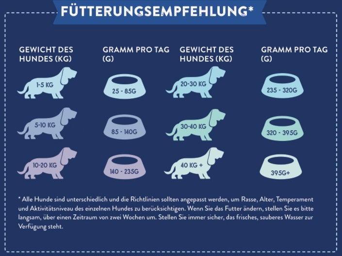 Schottischer Lachs mit Dill, Spinat, Fenchel und Spargel – Bones & Bites