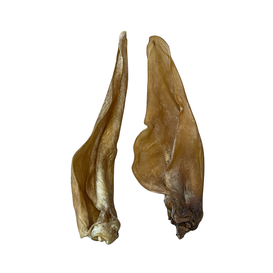 Pferde Ohren aus 100 % Pferd – Bones & Bites