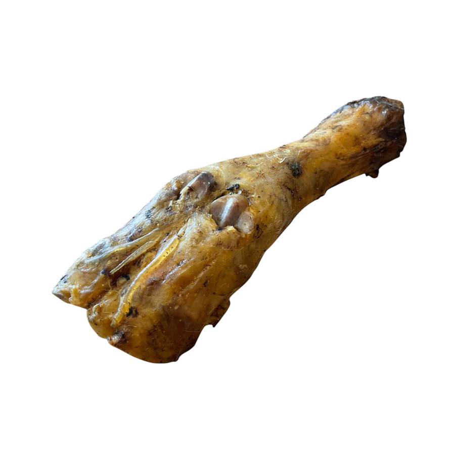 Pferde Unterbein aus 100 % Pferd – Bones & Bites