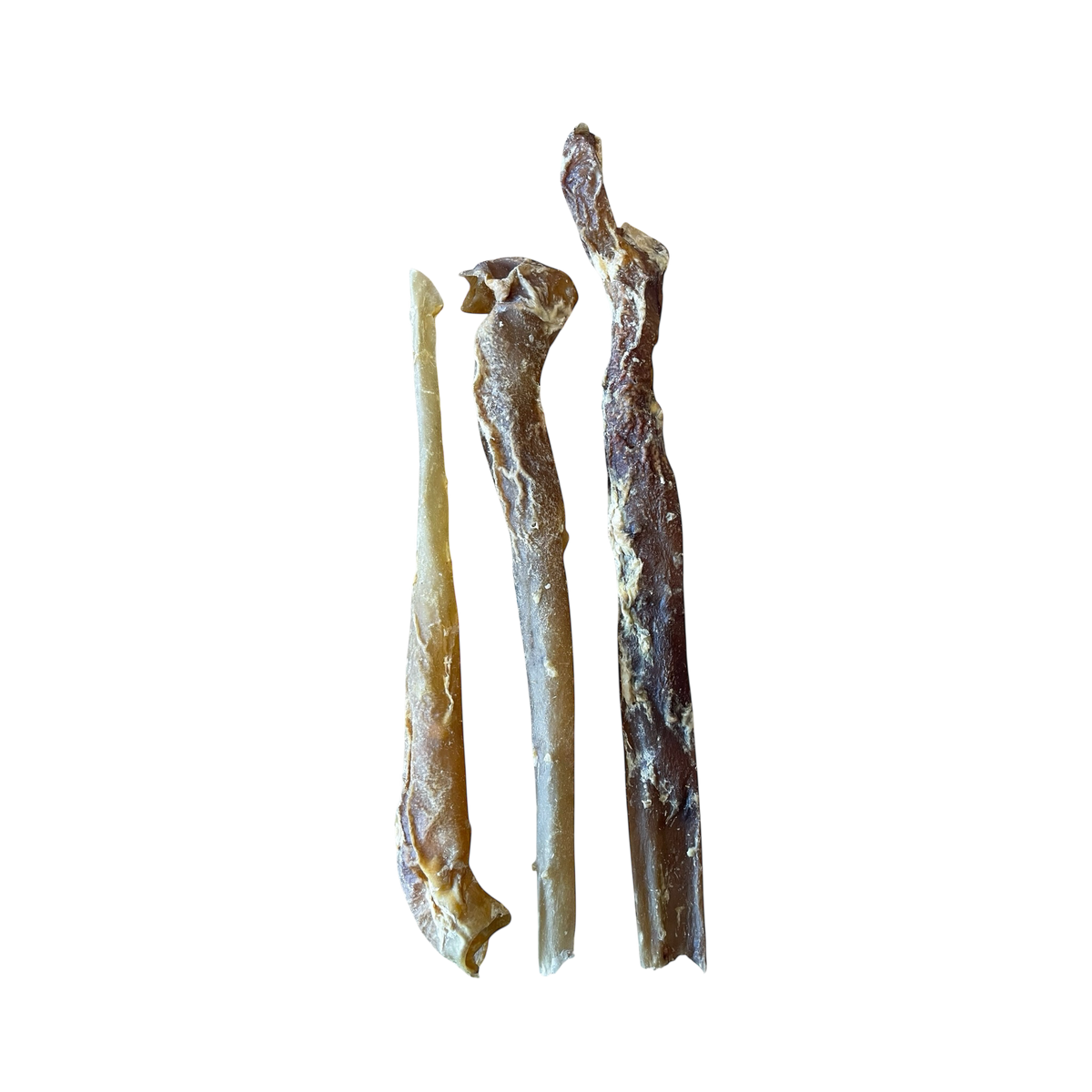 Pferde Aorta aus 100 % Pferd – Bones & Bites