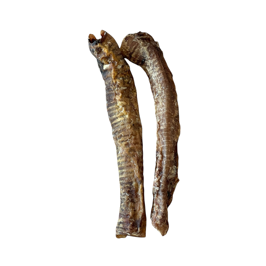Lamm Strossen – Bones & Bites