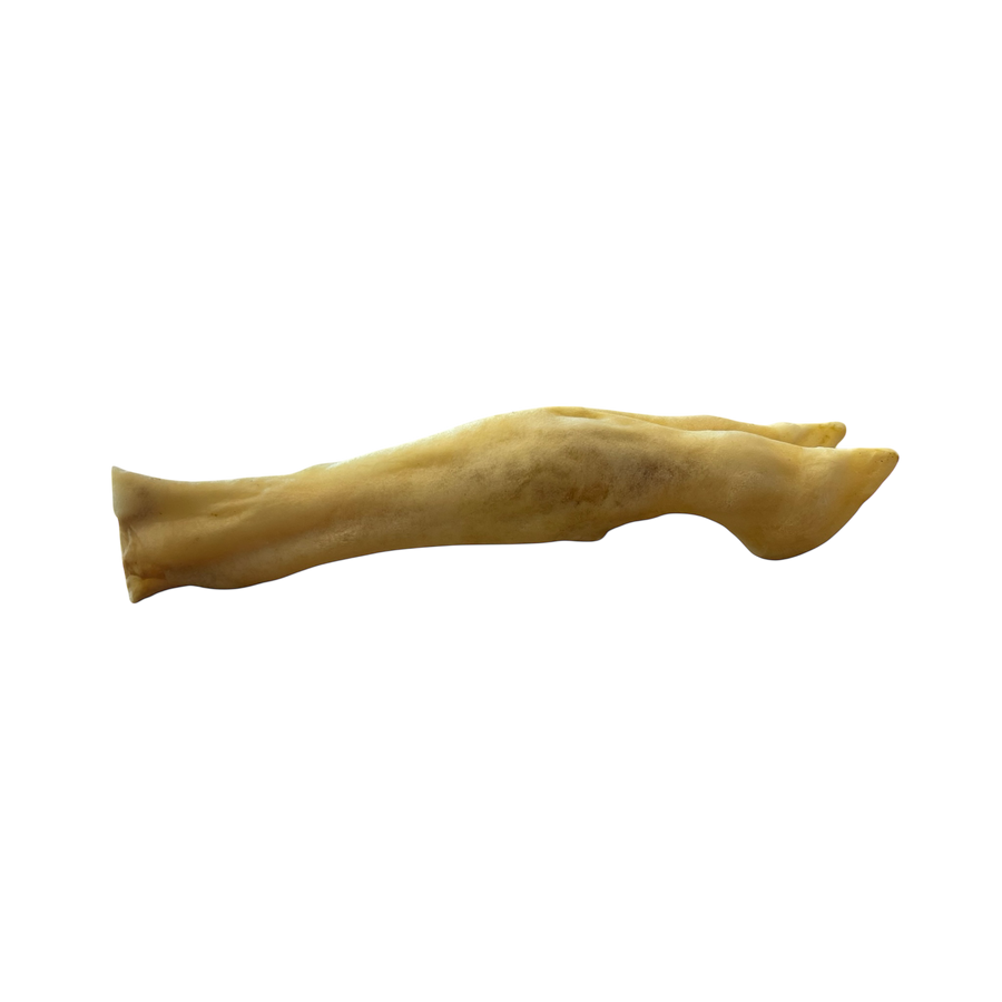 Lamm Beine aus 100 % Lamm – Bones & Bites