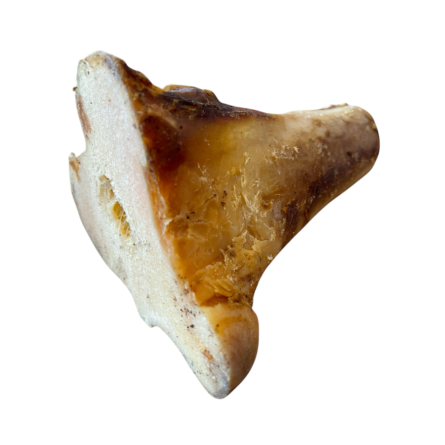 Rinder Röhrenknochen aus 100 % Rind – Bones & Bites