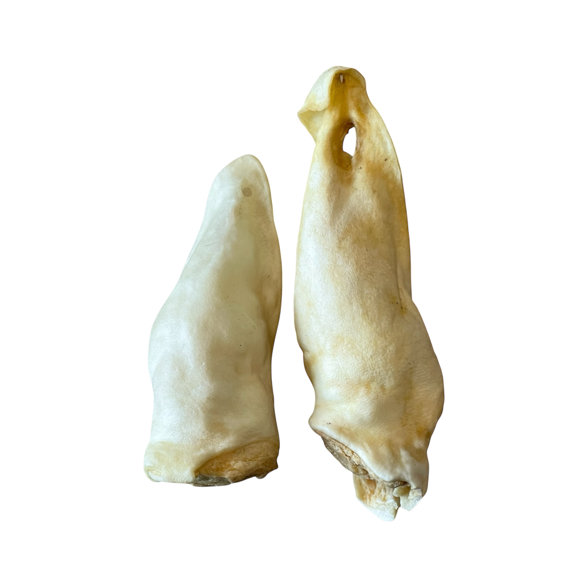 Lamm Ohren aus 100 % Lamm – Bones & Bites