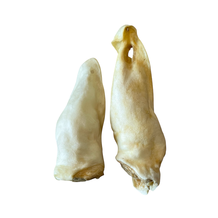 Lamm Ohren aus 100 % Lamm – Bones & Bites