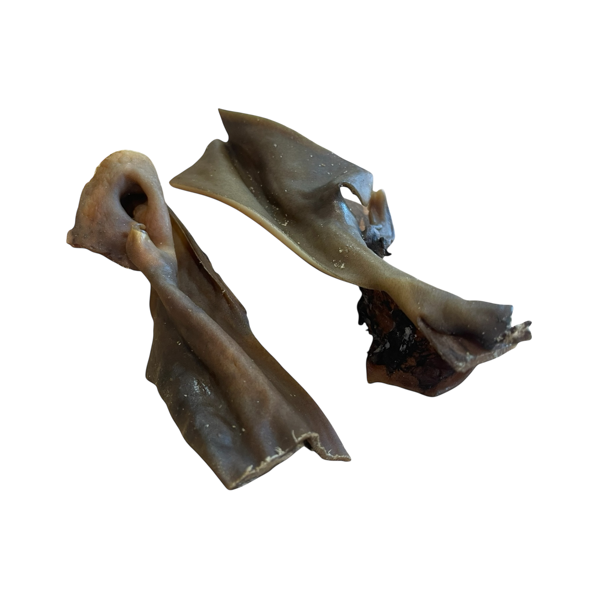Kamel Kopfhaut – Bones & Bites
