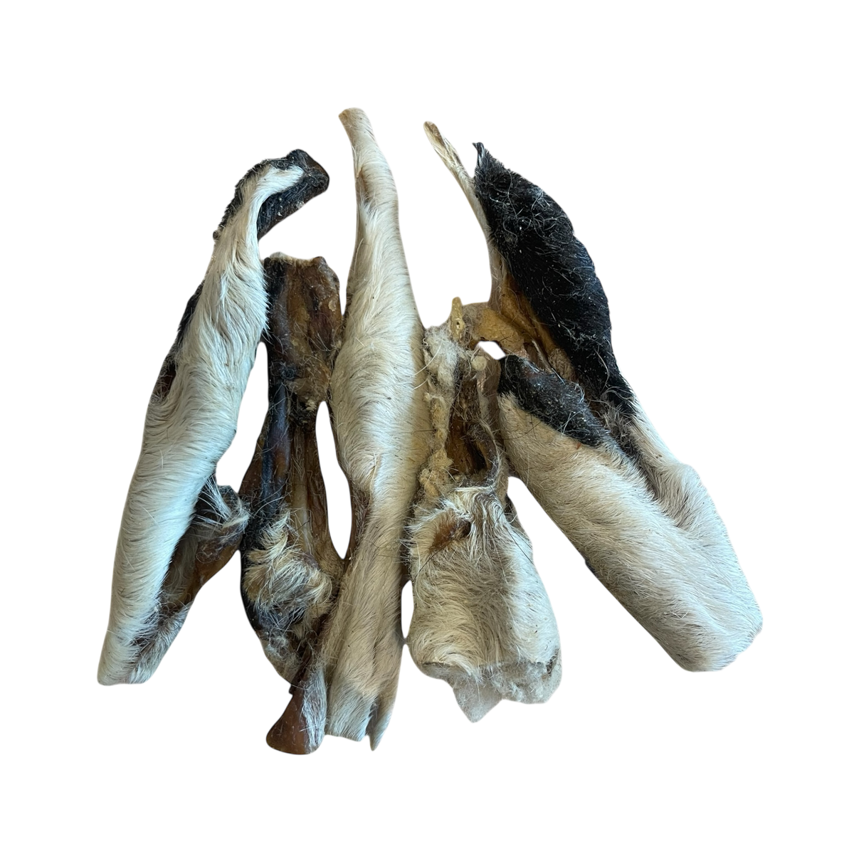 Lamm Kopfhaut mit Fell aus 100 % Lamm – Bones & Bites