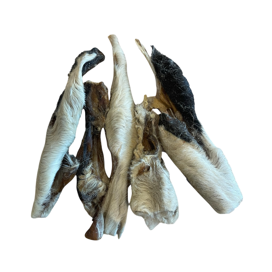 Lamm Kopfhaut mit Fell aus 100 % Lamm – Bones & Bites