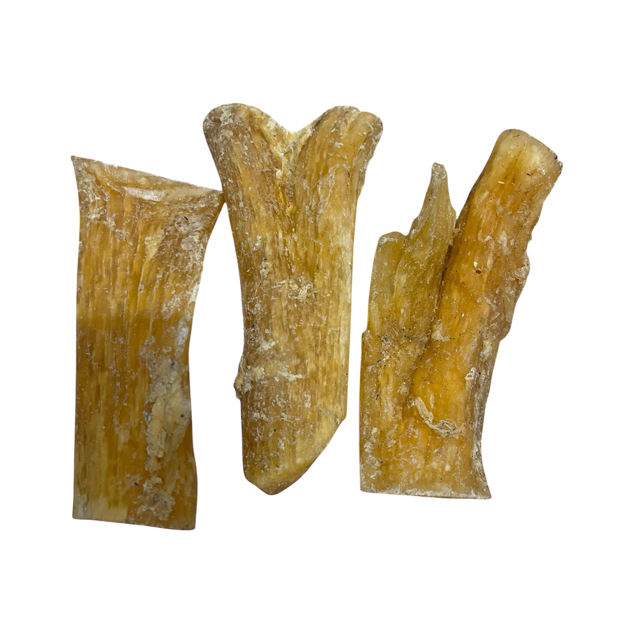 Rinder Nacken Sehne aus 100 % Rind – Bones & Bites