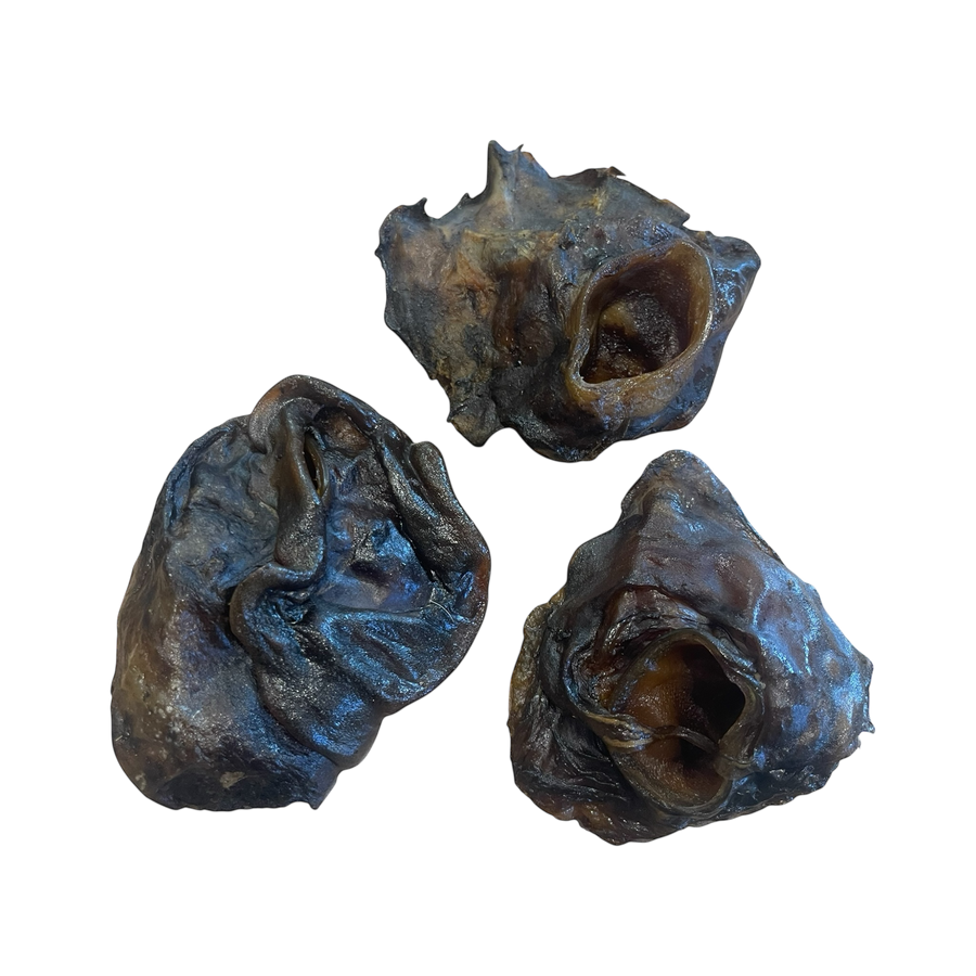 Rinder Ohr Muscheln – Bones & Bites