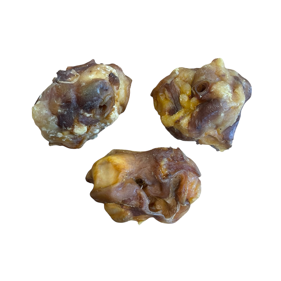 Schweine Ohr Muscheln – Bones & Bites