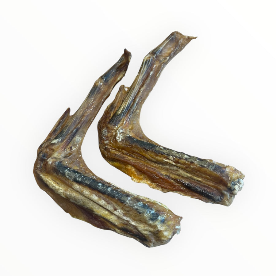 Enten Flügel aus 100 % Enten-Flügel – Bones & Bites