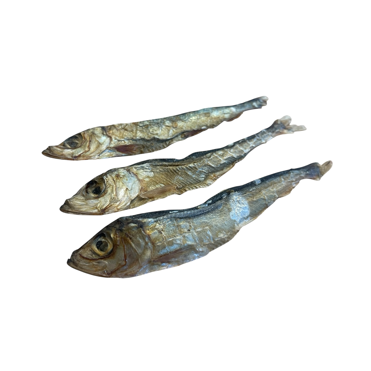 Hering – Bones & Bites