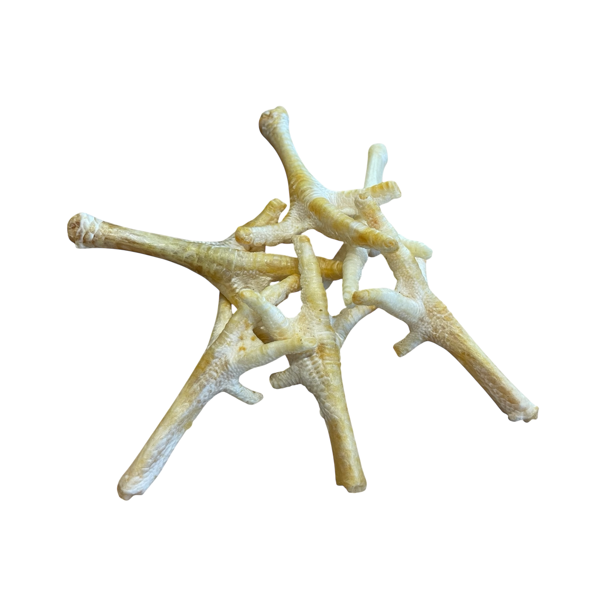 Hühner Füße Weiß – Bones & Bites