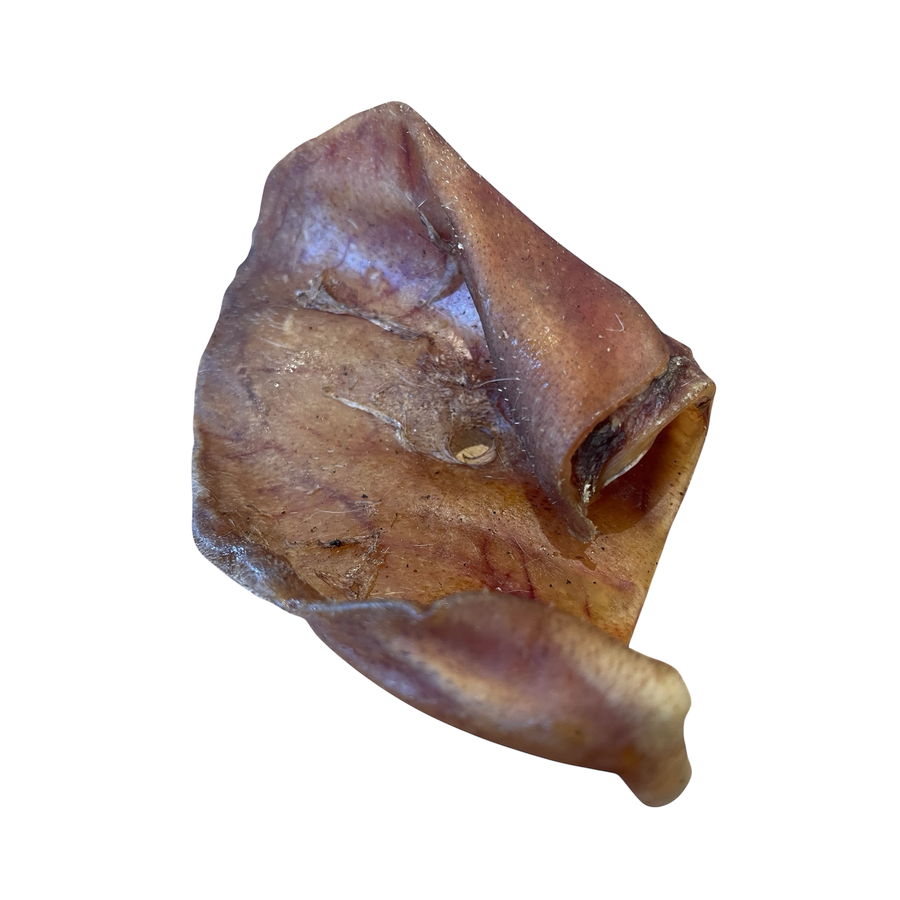 Schweine Ohr L – Bones & Bites