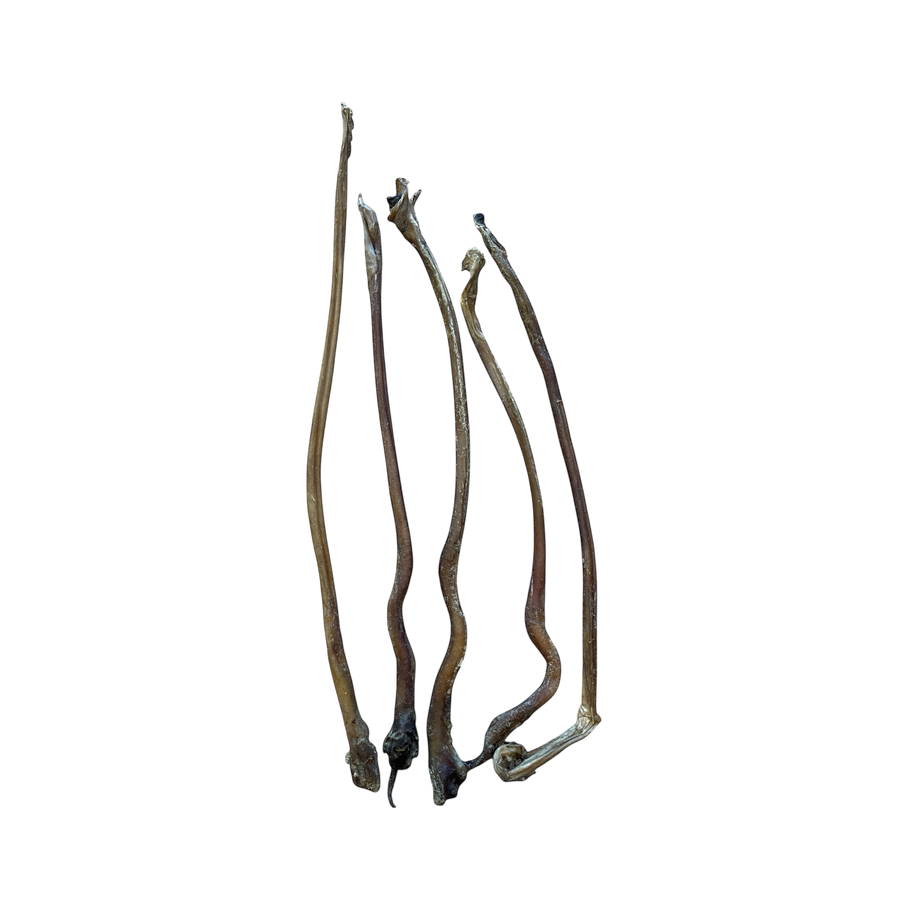 Lamm Ziemer aus 100 % Lamm – Bones & Bites