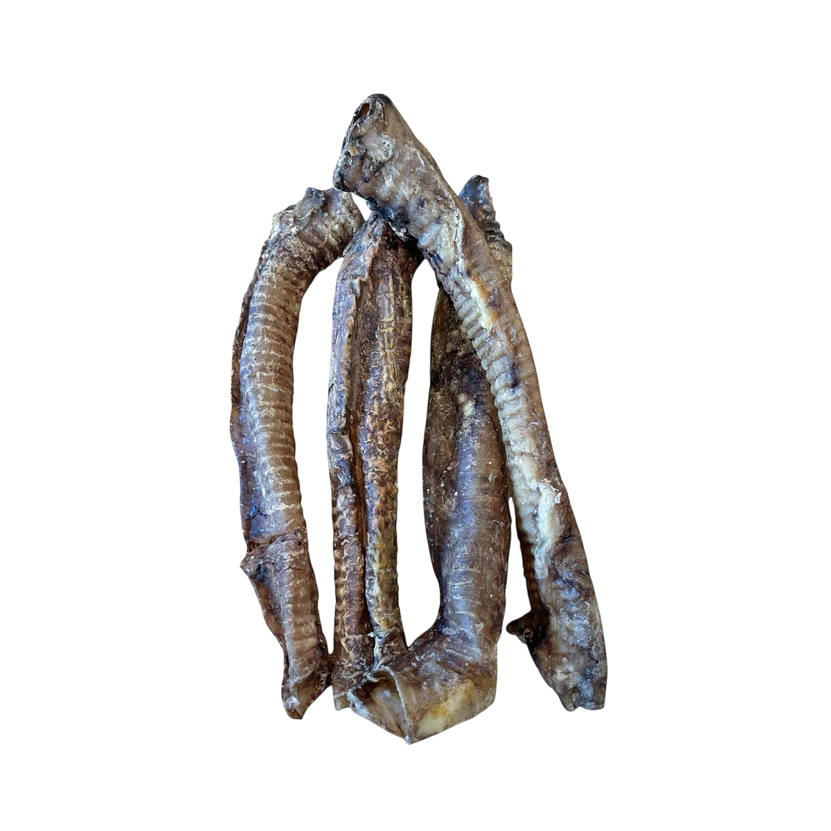 Hirsch Strosse aus 100 % Hirsch – Bones & Bites