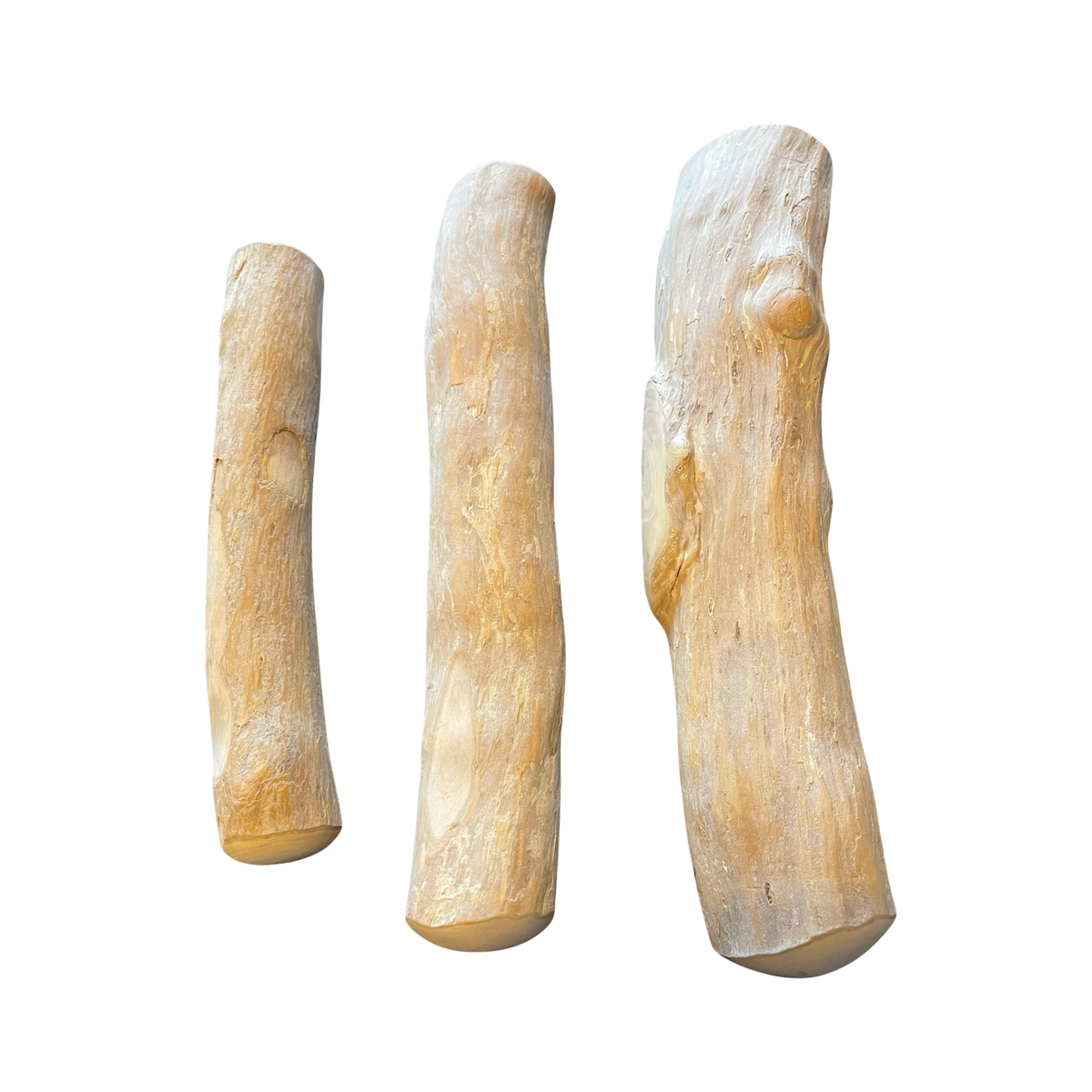Kaffeholz Kaustab S-L aus 100 % Wurzel des Kaffeebaums – Bones & Bites