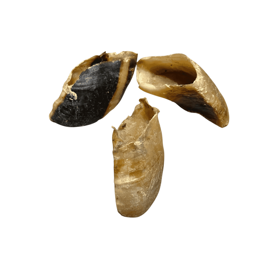 Rinderhufe – Bones & Bites