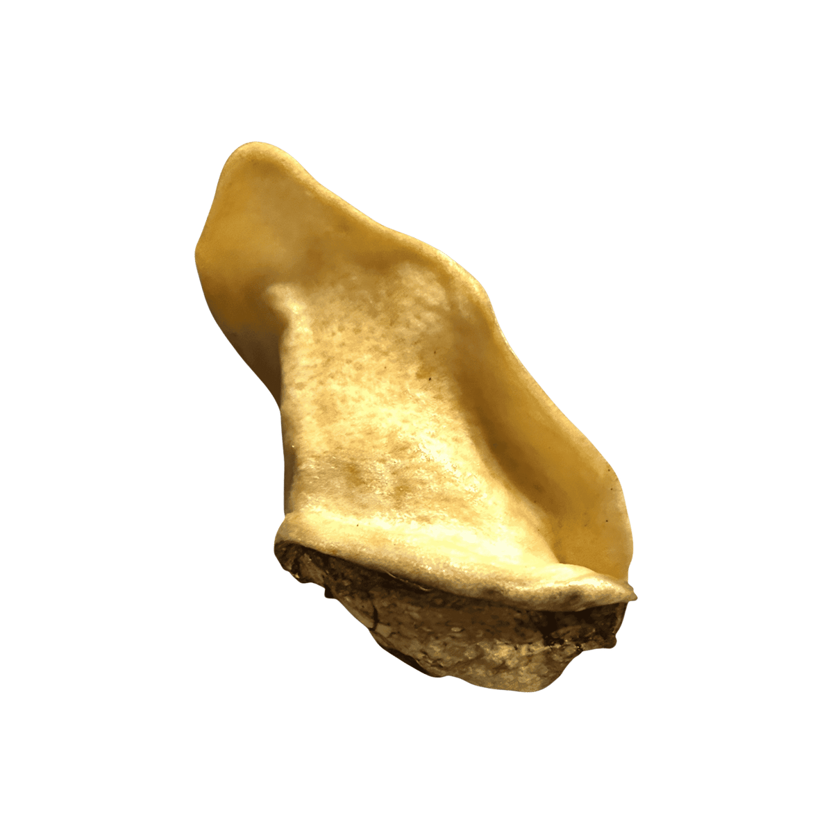 Wildschweinohr – Produktansicht 2 – Bones & Bites