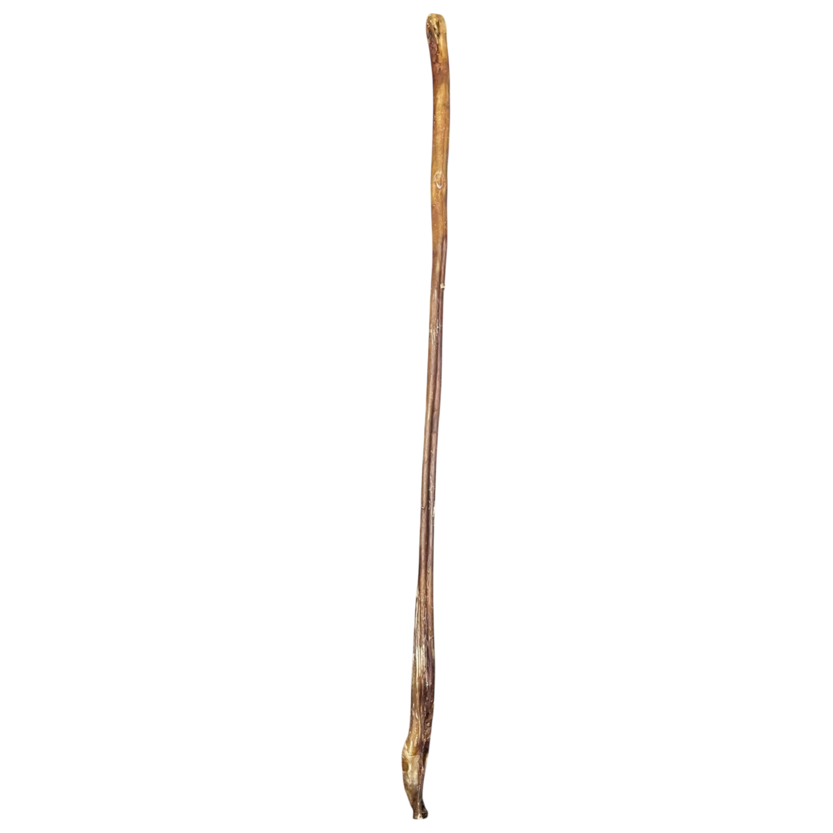 Ochsen Ziemer 100cm aus 100 % Rinderziemer – Bones & Bites