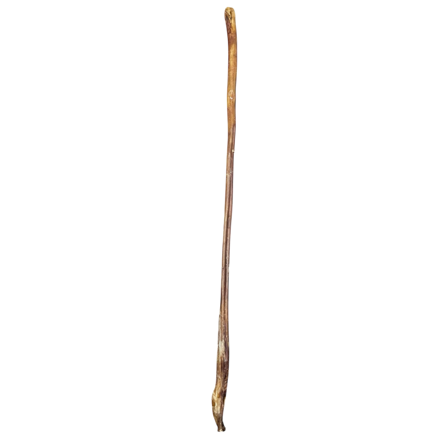 Ochsen Ziemer 100cm aus 100 % Rinderziemer – Bones & Bites