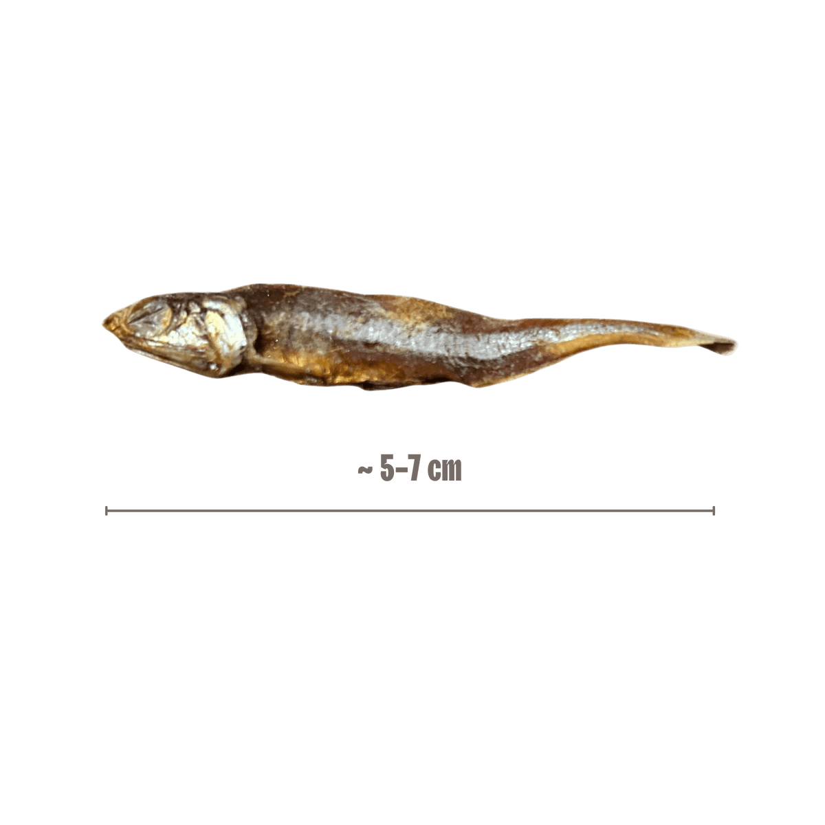 Kleine Fische – Produktansicht 2 – Bones & Bites