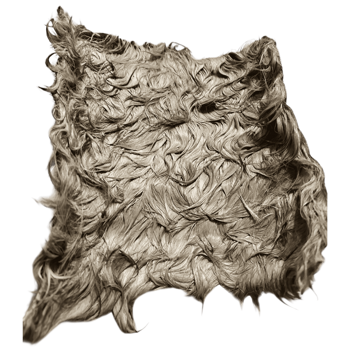 Pferde Haut Platten mit Fell aus 100 % Pferd – Bones & Bites
